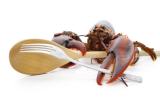 Meeresfrüchte & Fischkochkurse bei Kochkurse.at