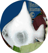 Eis Fisch - Eisfigur kaufen Salzburg